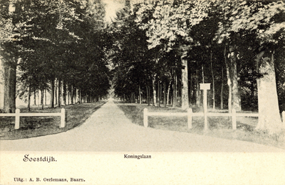 18068 Gezicht in de Koningslaan te Soestdijk (gemeente Soest).